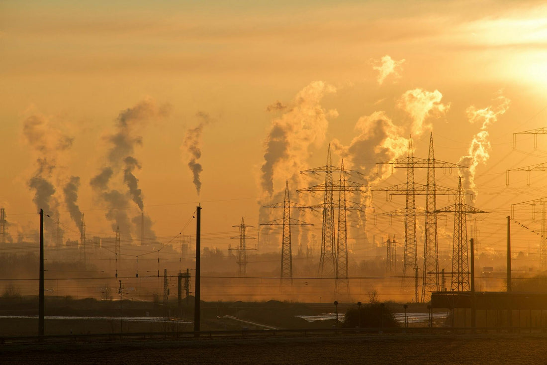Building a Greener Future: How Everbuy.it Is Going Eco-Friendly