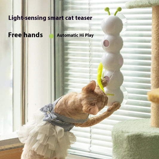 Teasing Cat Toy