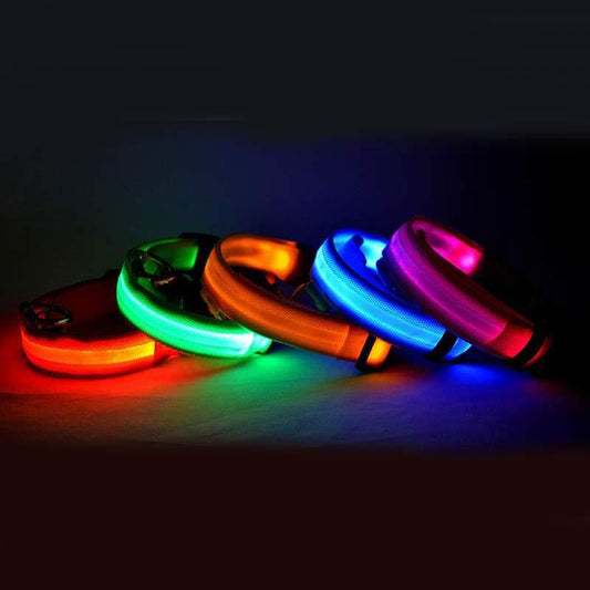 Nylon LED Pet Dog Luminous Night Collar